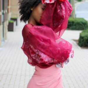 Sheer Petals Organza Top